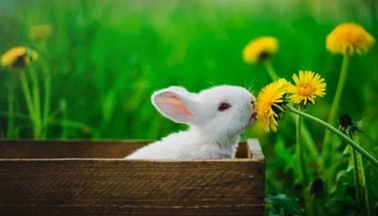 kering.com-捷足先登！门兴格拉德巴赫坚守主场实现胜利，门兴格拉德巴赫球队