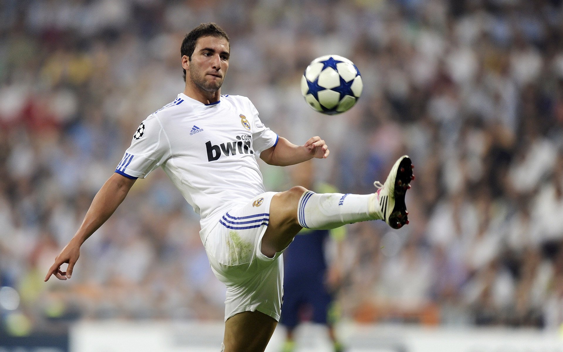 布鲁诺·卡博克洛成为NBA国际化象征，布洛克vs卡里