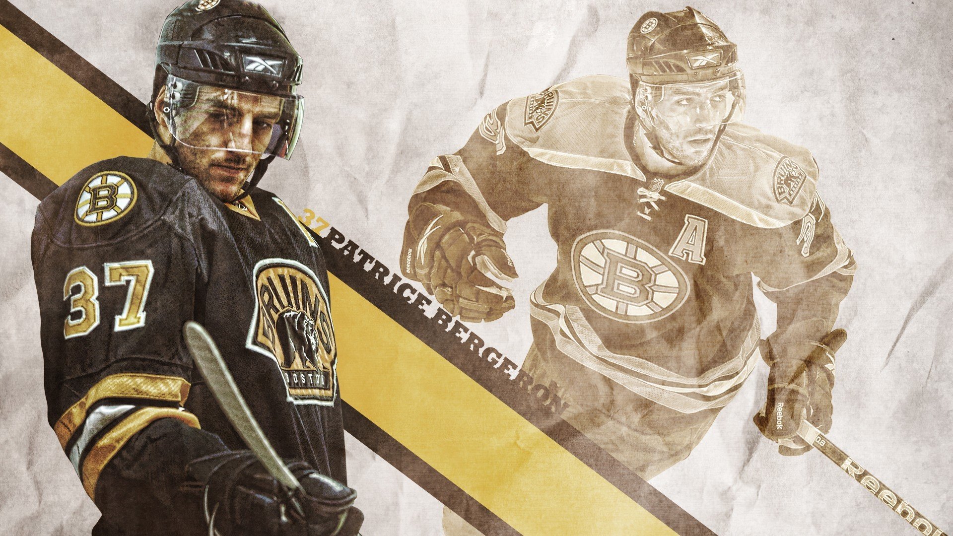 新疆雪豹队员技高一筹，信心十足，新疆雪豹数量